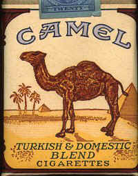 camel