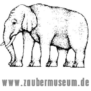 elefant